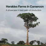 Herakles Farms in Cameroon